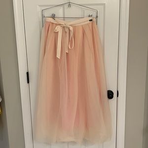 J Crew Tulle Skirt